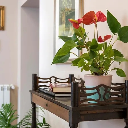 Elegante Grande Con 4 Stanze - Vaticano E Centro Appartement *